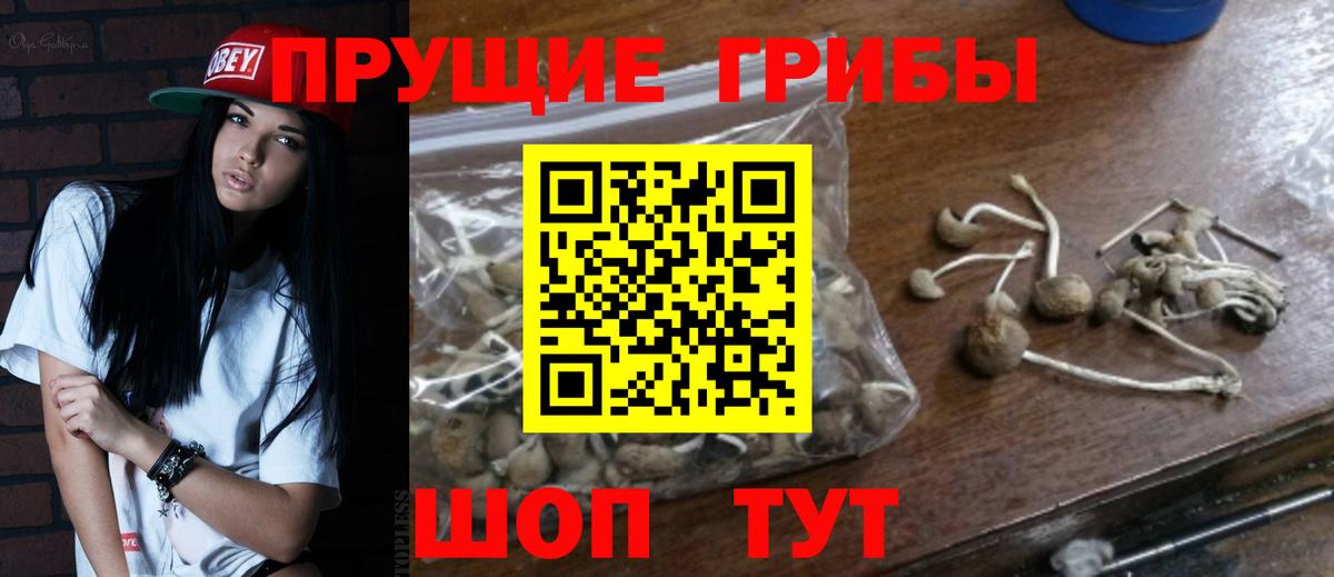 Галлюциногенные грибы Magic Shrooms  Вход с VPN  Чистополь 