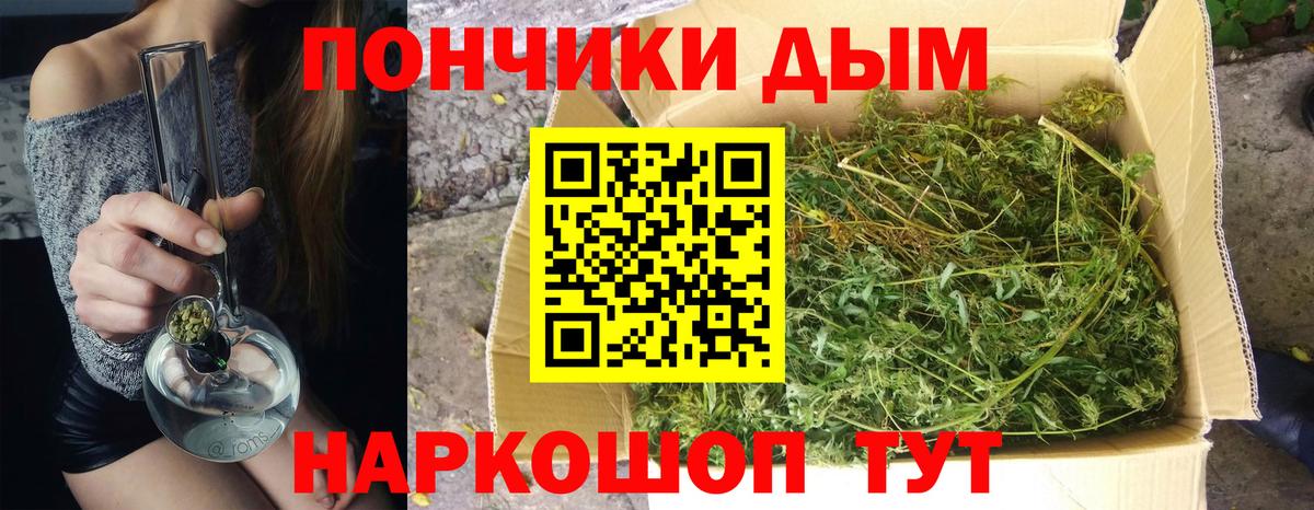 Чистополь  Марихуана тримм  МАРИХУАНА планчик  Марихуана Bruce Banner  Вход с VPN 